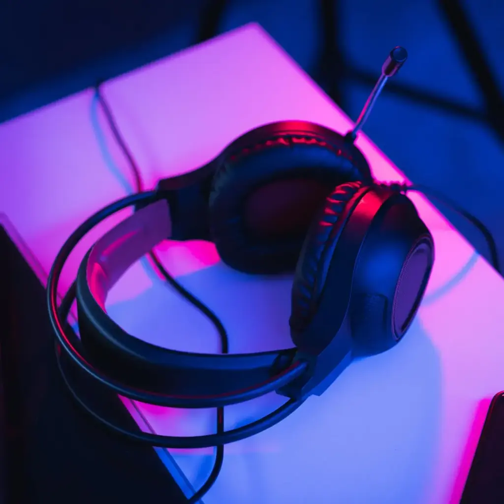 Surround Sound Gaming Headset with Mic