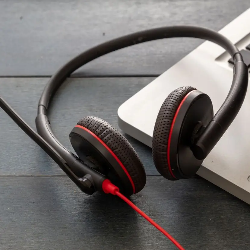 USB Headset with Inline Controls